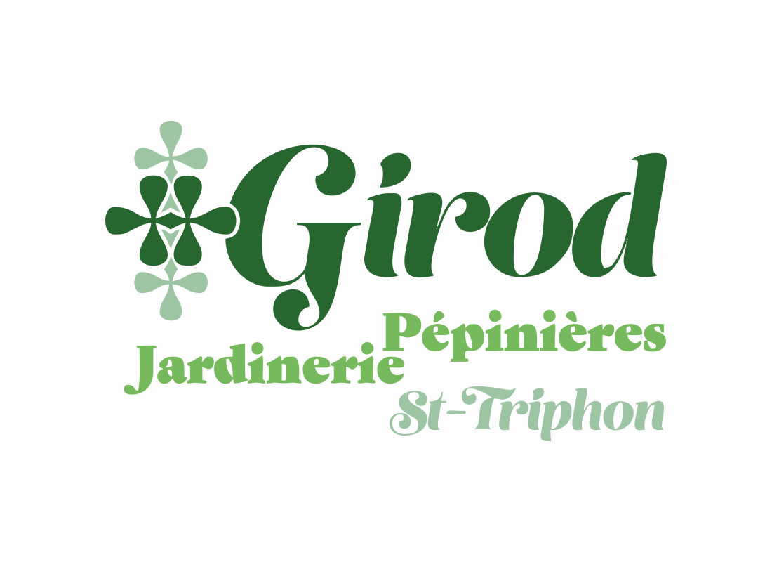 Gippa Jean-Jacques